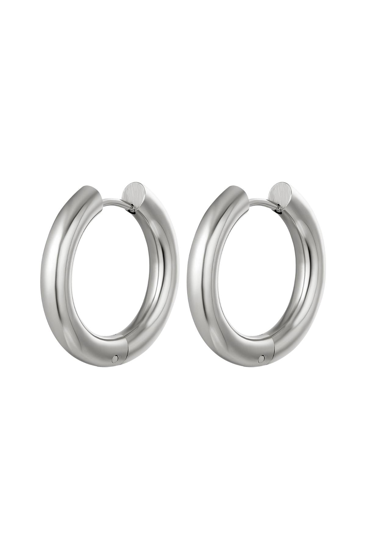 Oorbellen rond groot