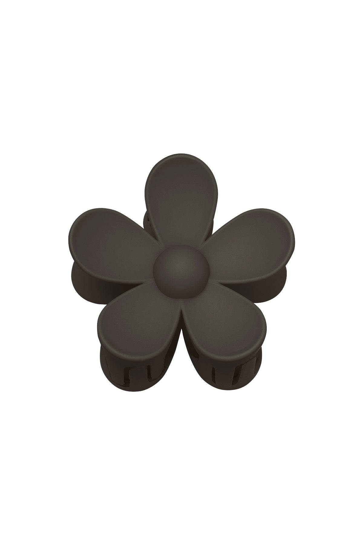 Haarklip daisy bloem