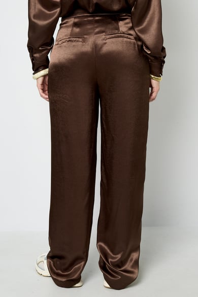 Broek silk bruin