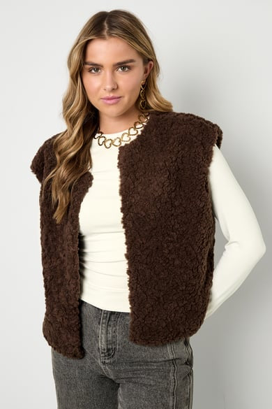 Gilet bruin